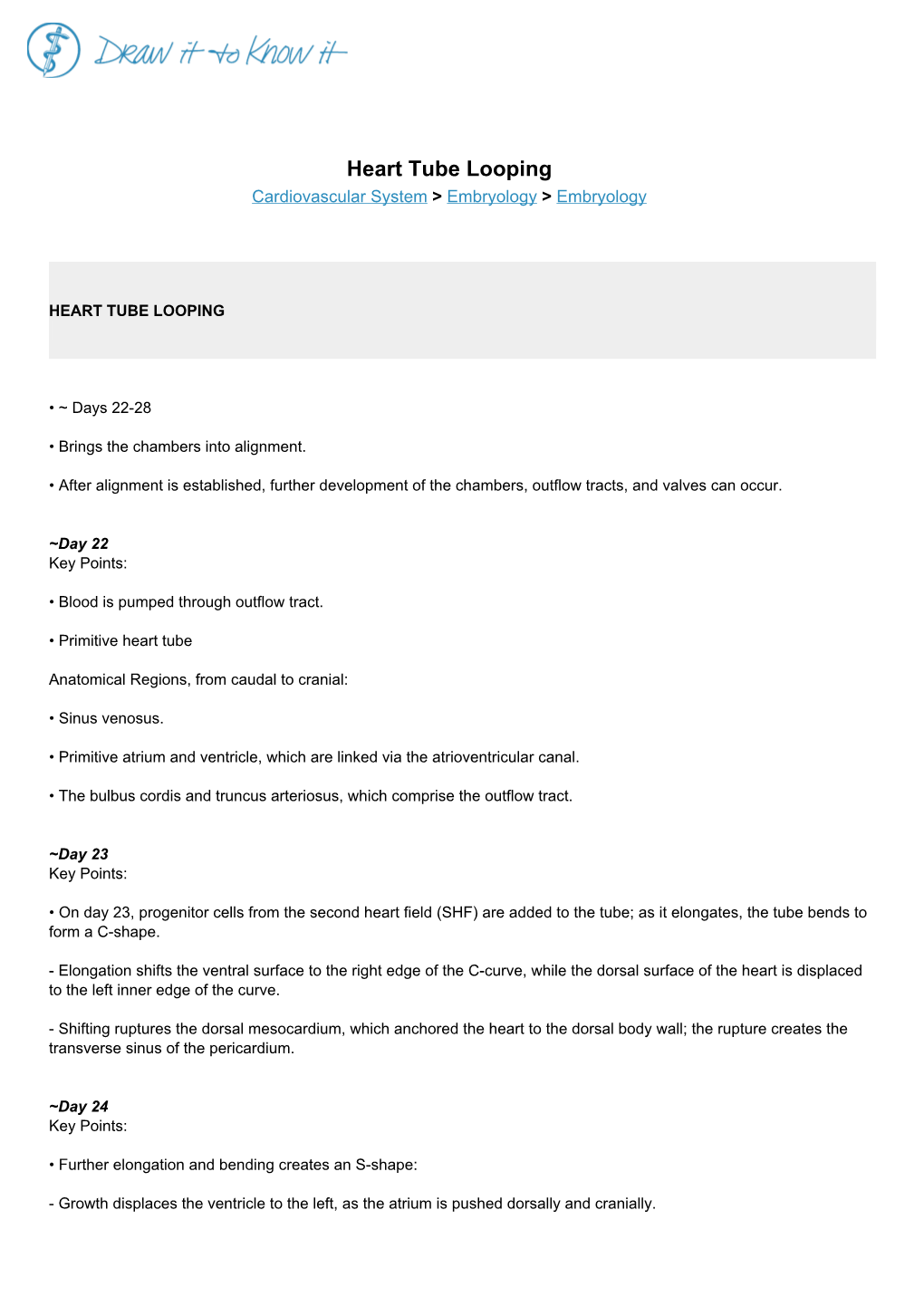 Heart Tube Looping Cardiovascular System > Embryology > Embryology