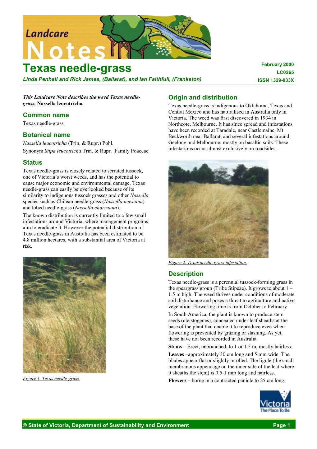 Texas Needle-Grass (DPI Vic)