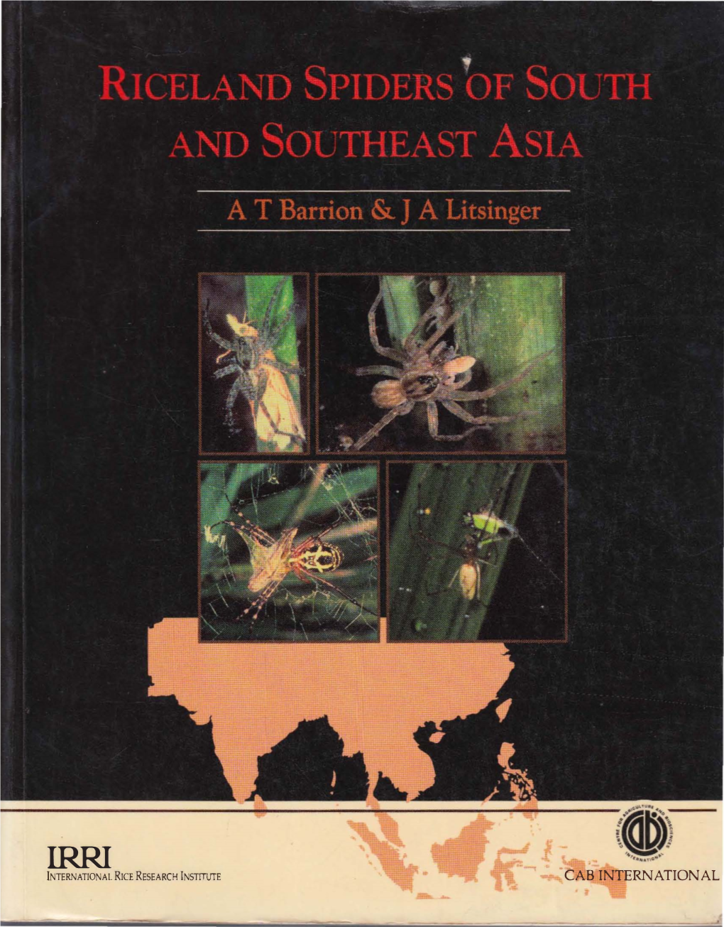 Riceland Spiders of South and Southeast Asia Cover Photographs