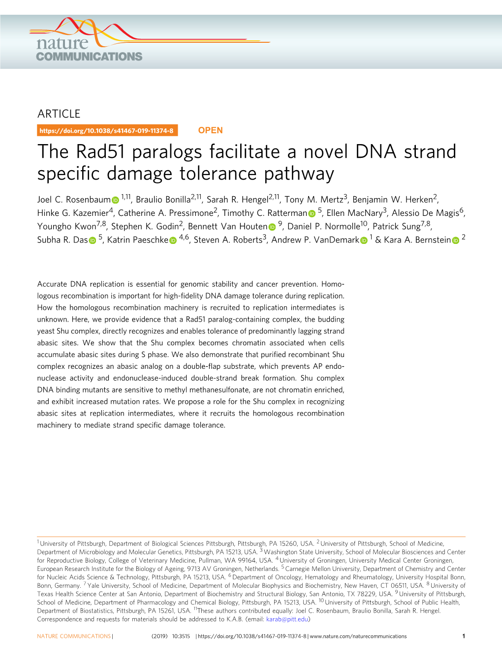 The Rad51 Paralogs Facilitate a Novel DNA Strand Specific Damage Tolerance Pathway