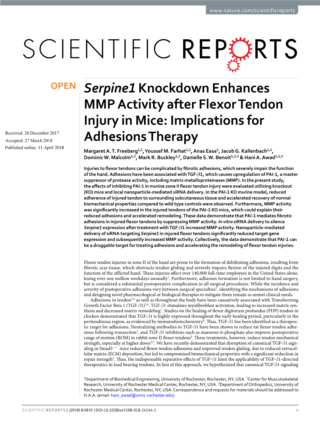 Serpine1 Knockdown Enhances MMP Activity After Flexor Tendon Injury in Mice: Implications for Adhesions Therapy