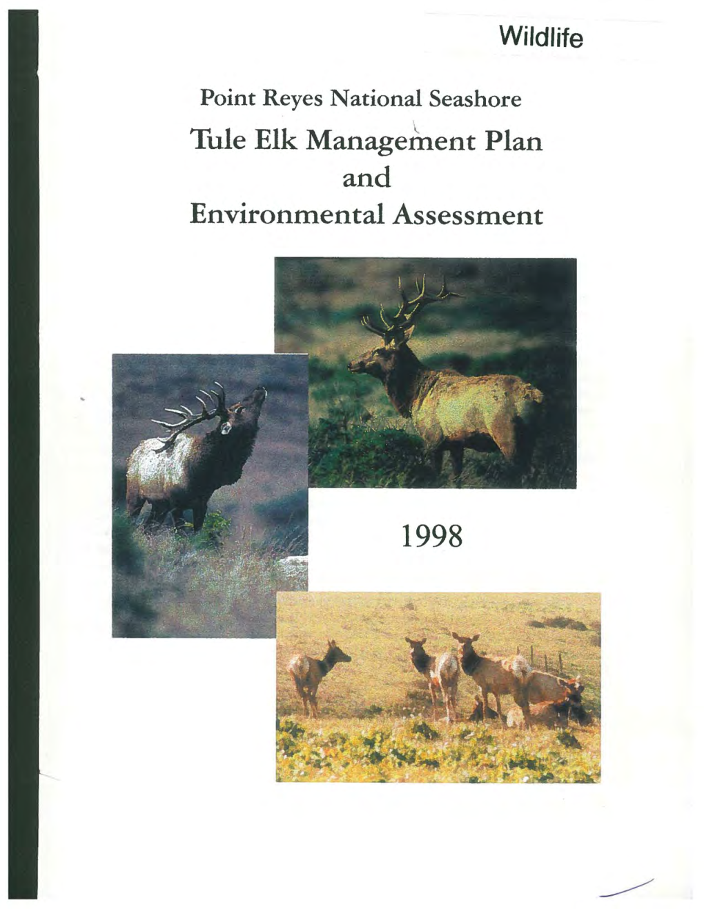 1998 Tule Elk Management Plan and Environmental Assessment