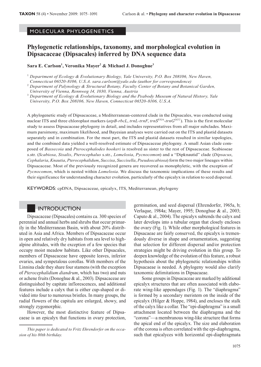 (Dipsacales) Inferred by DNA Sequence Data