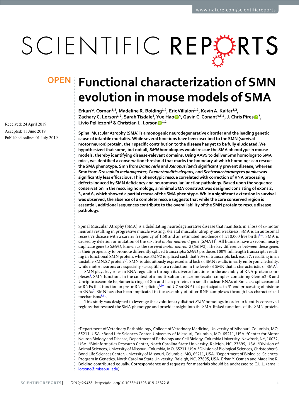 Functional Characterization of SMN Evolution in Mouse Models of SMA Erkan Y