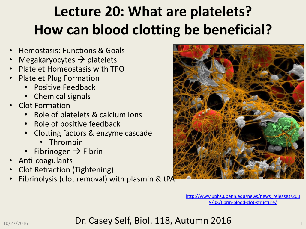 Lecture 20: What Are Platelets? How Can Blood Clotting Be Beneficial?