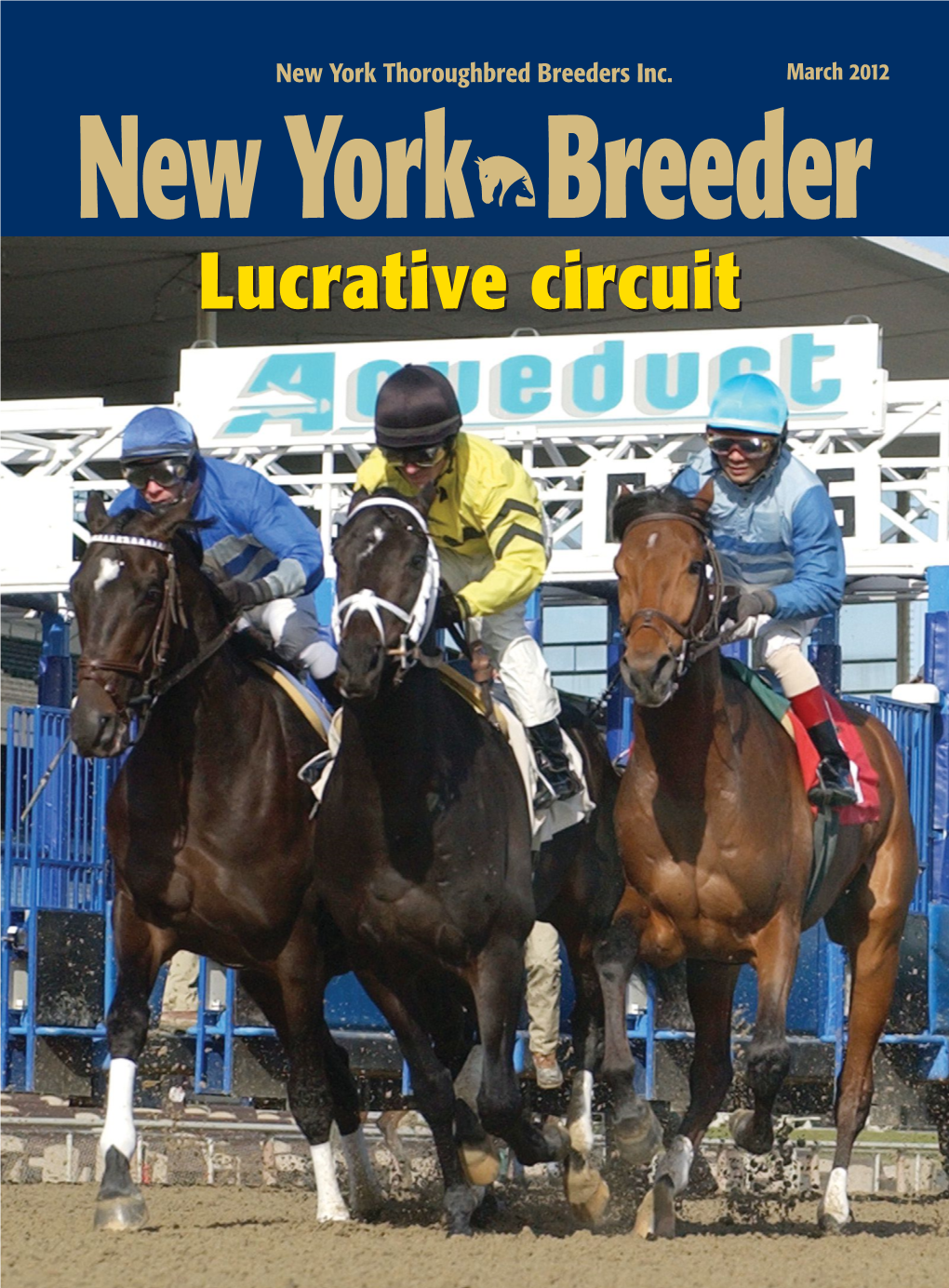 March 2012 New York Breeder Lucrativelucrative Circuitcircuit