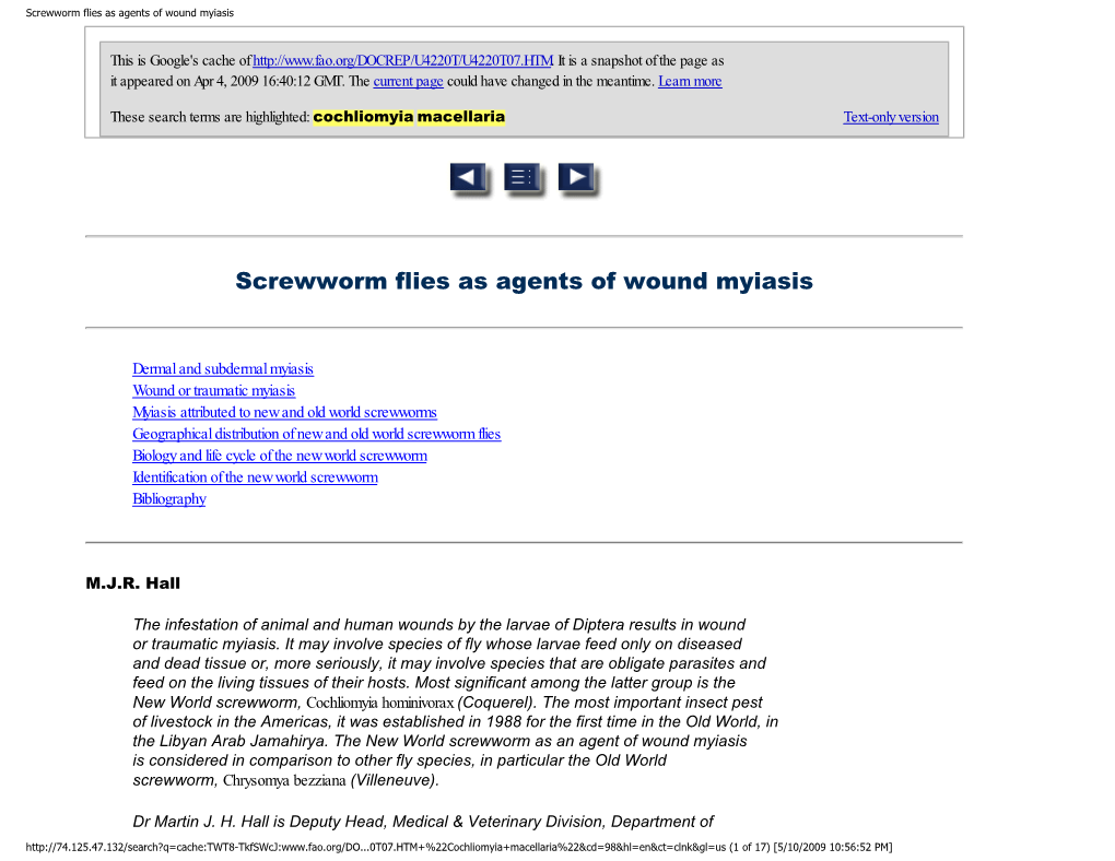 Screwworm Flies As Agents of Wound Myiasis