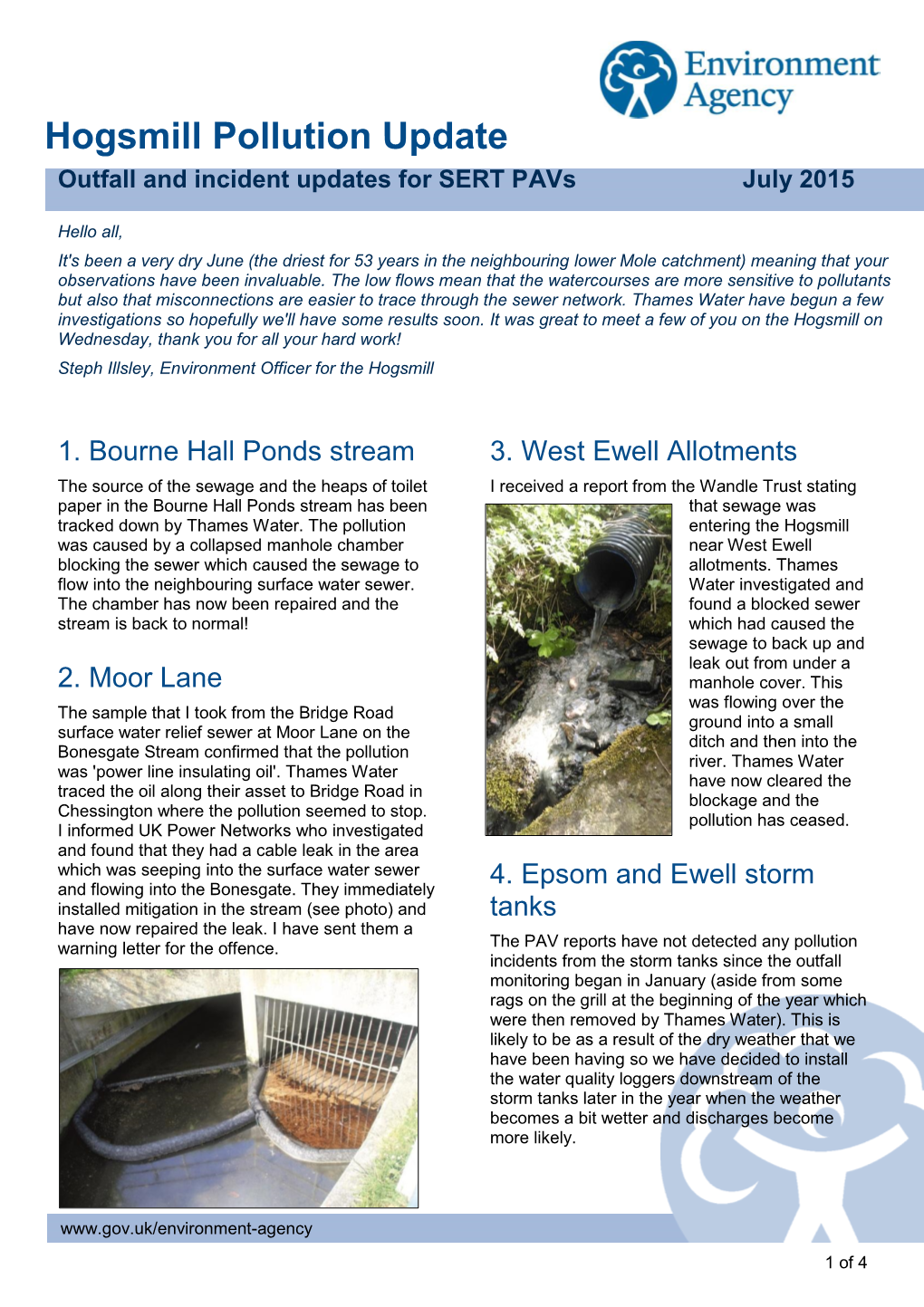 Hogsmill Report July 2015