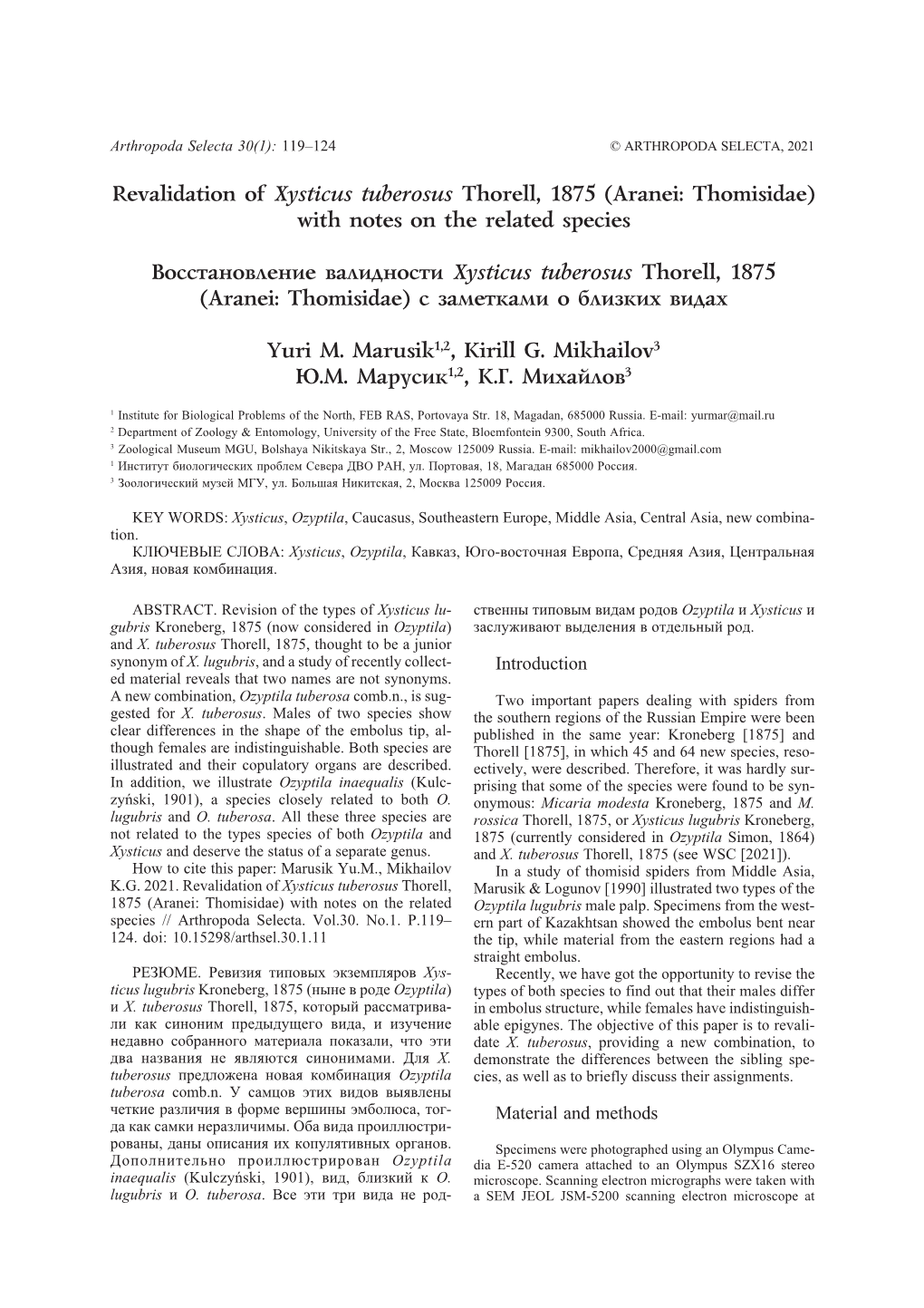 Revalidation of Xysticus Tuberosus Thorell, 1875 (Aranei: Thomisidae) with Notes on the Related Species