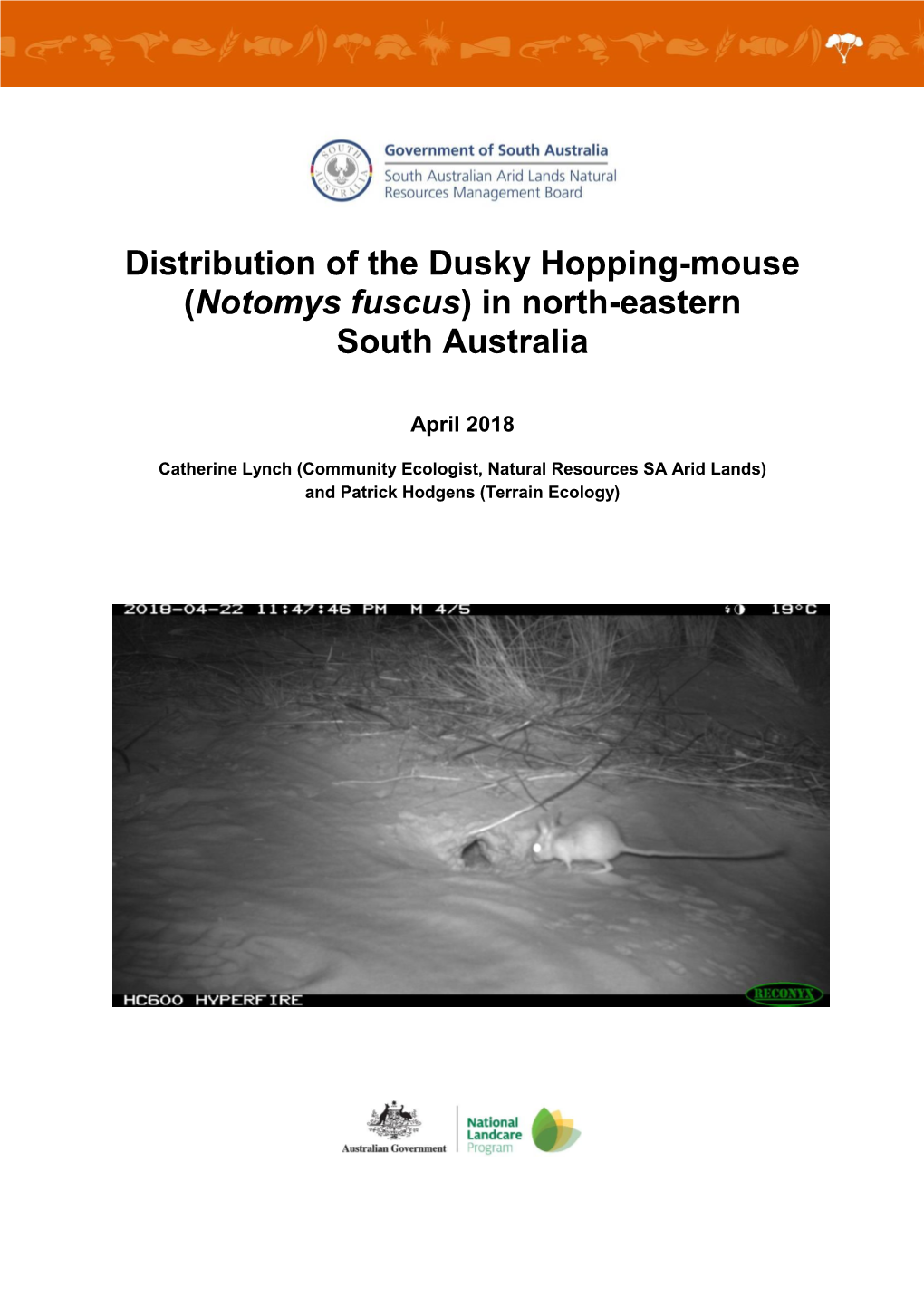 Distribution of the Dusky Hopping-Mouse (Notomys Fuscus) in North-Eastern South Australia