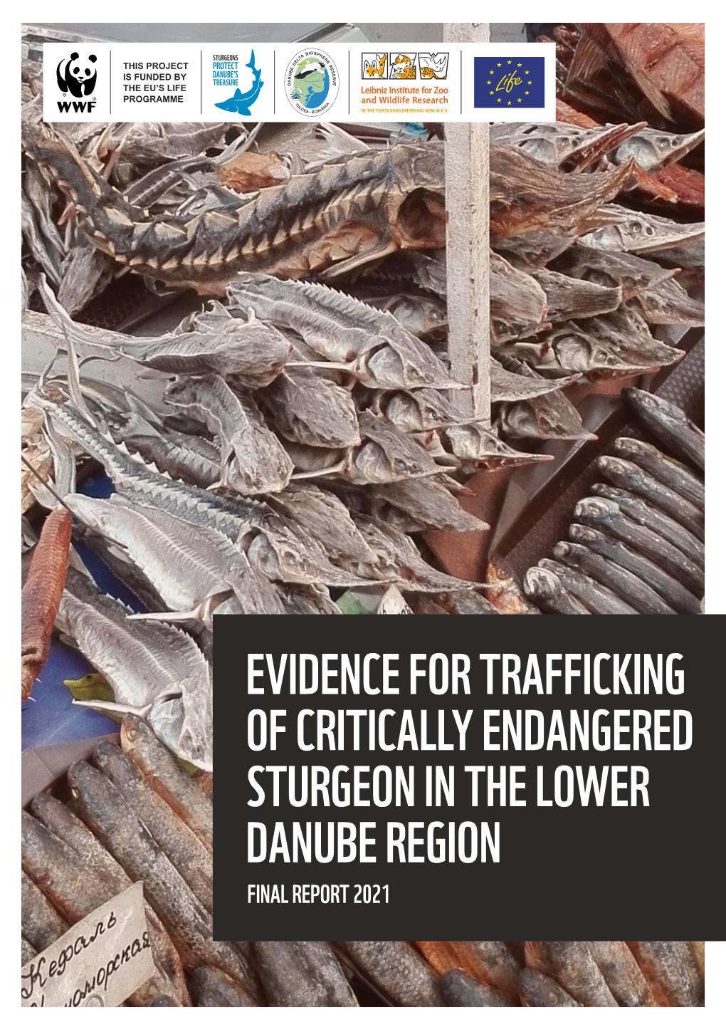 TRAFFICKING of CRITICALLY ENDANGERED STURGEON in the LOWER DANUBE REGION FINAL REPORT 2021 Authors: Jutta Jahrl, Markus Boner, Beate Striebel, Arne Ludwig