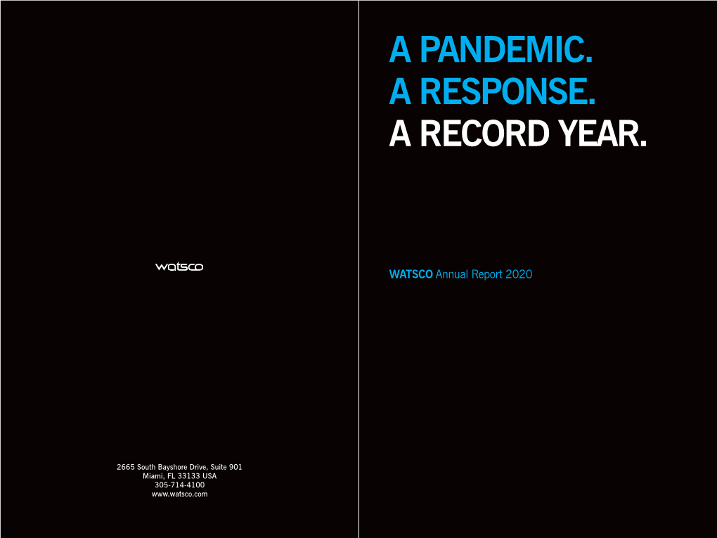 A Pandemic. a Response. a Record Year