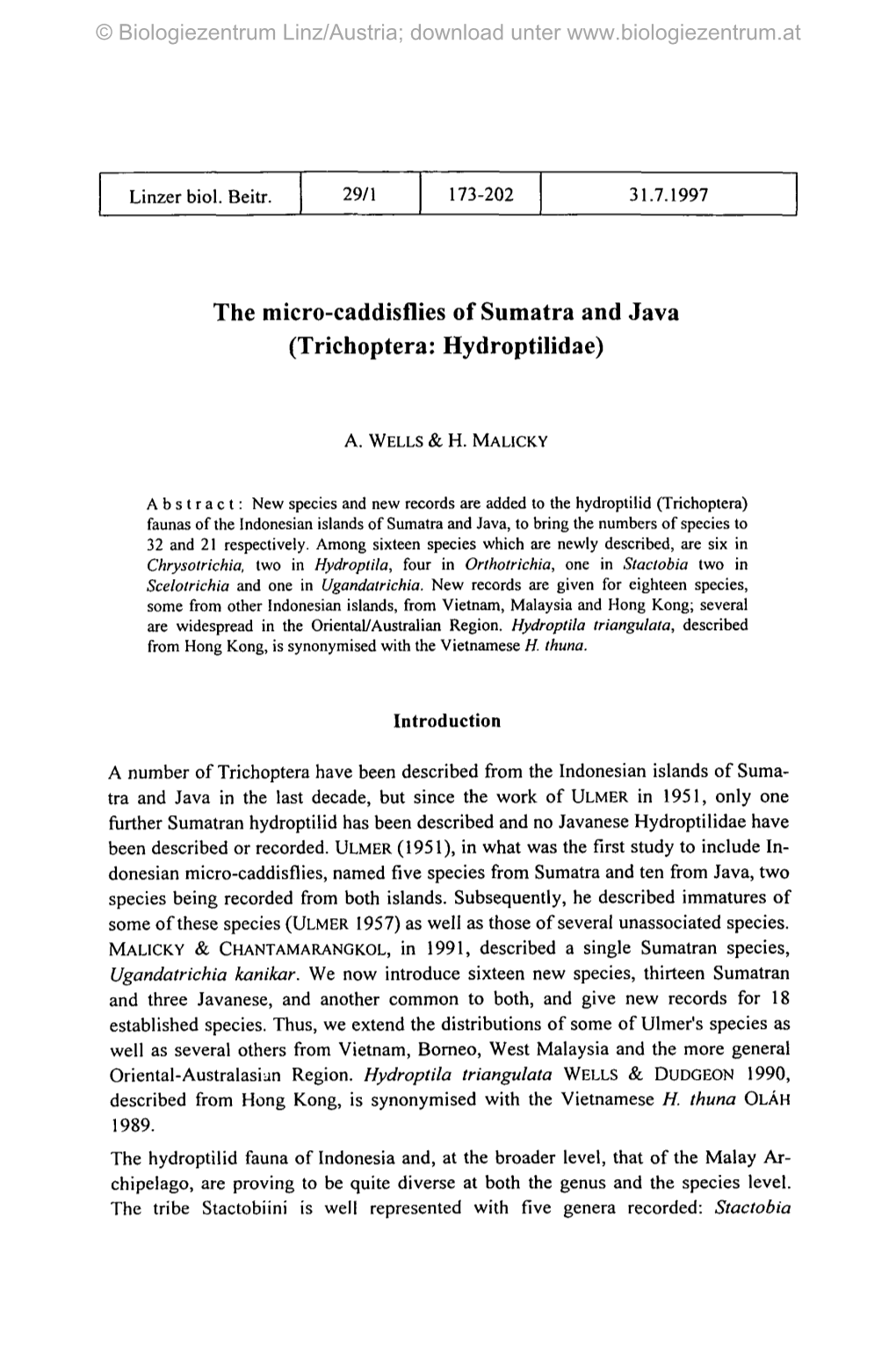 The Micro-Caddisflies of Sumatra and Java (Trichoptera: Hydroptilidae)