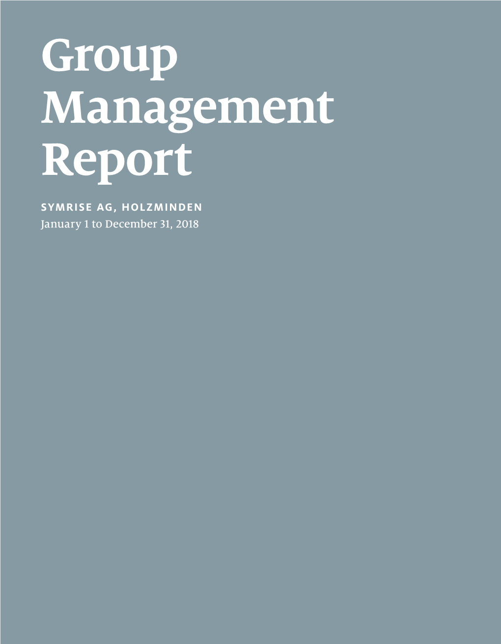 Group Management Report — 3