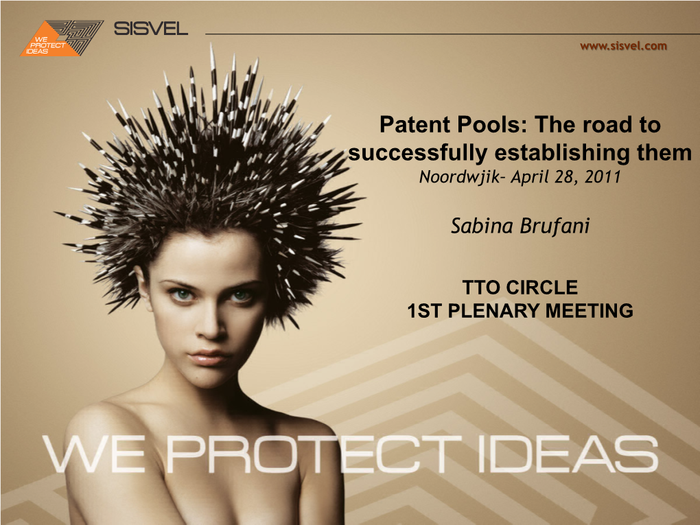 Patent Pools: the Road to Successfully Establishing Them Noordwjik– April 28, 2011