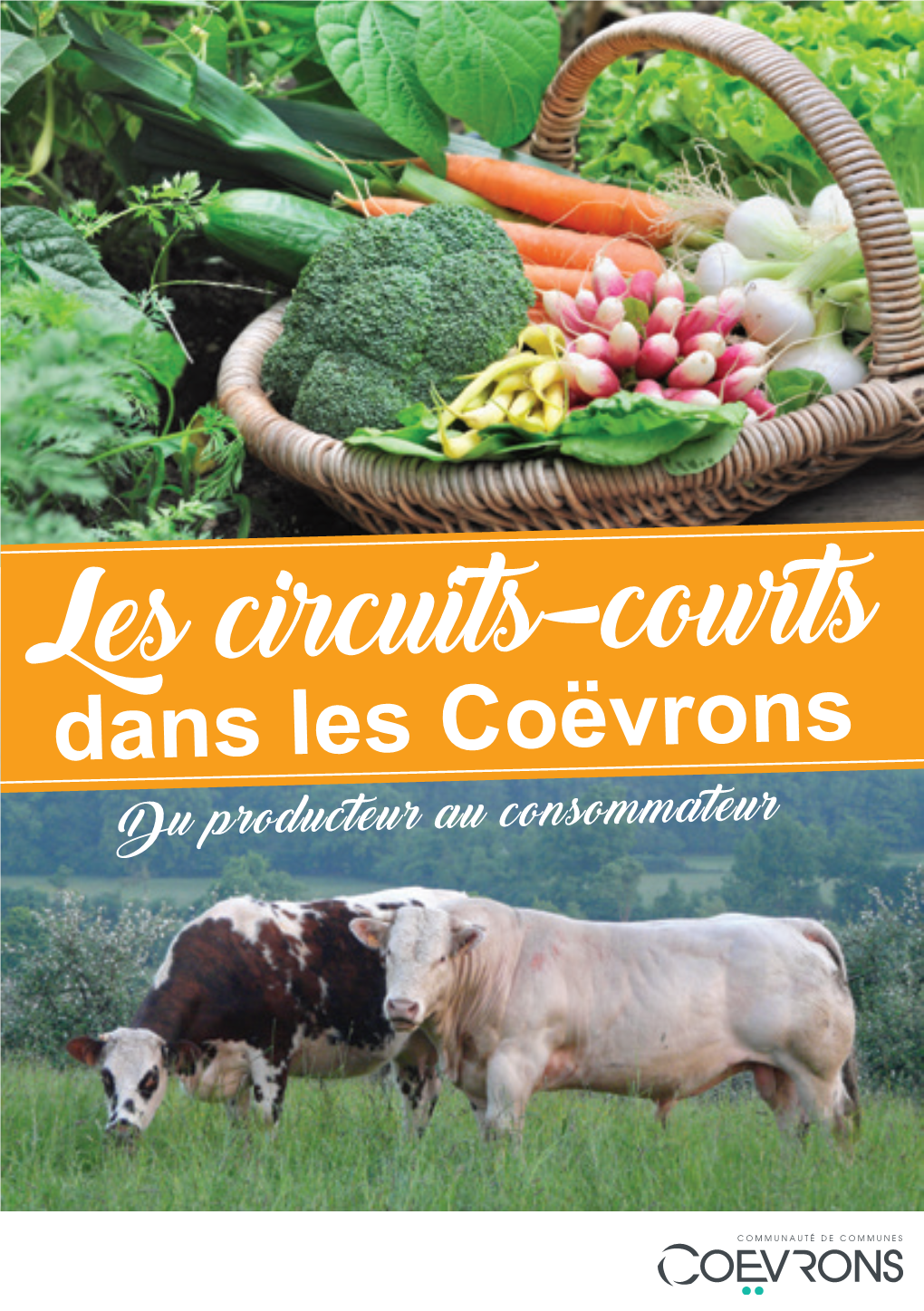 Les Circuits-Courts Dans Les Coëvrons Du Producteur Au Consommateur Consommer Local : Quels Avantages ?