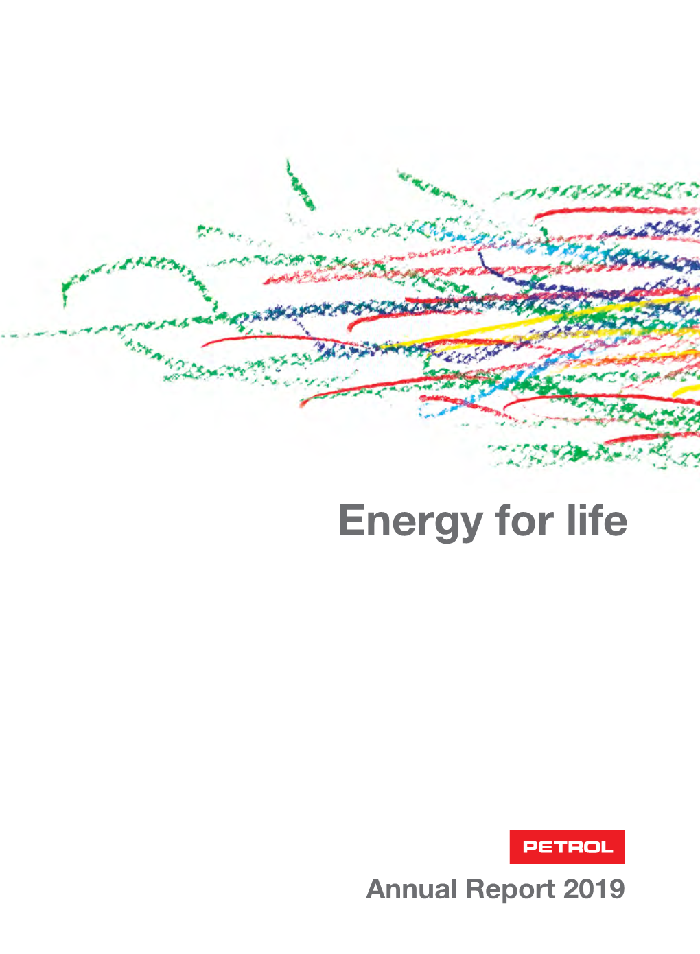 ANNUAL REPORT PETROL 2019 Contents