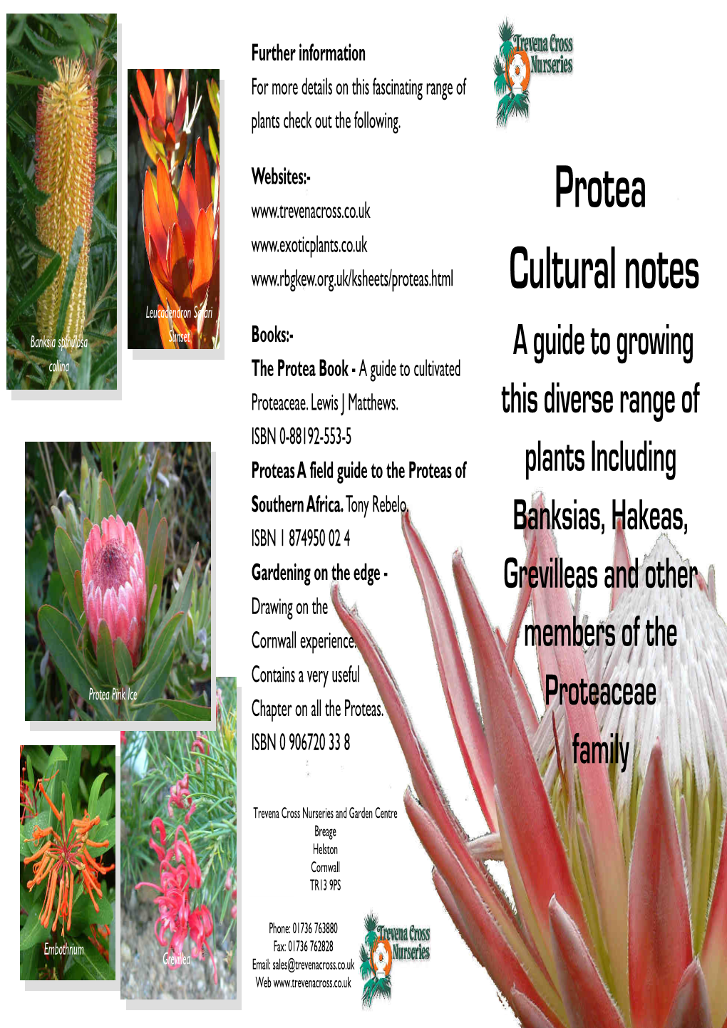 Protea Notes.Pub