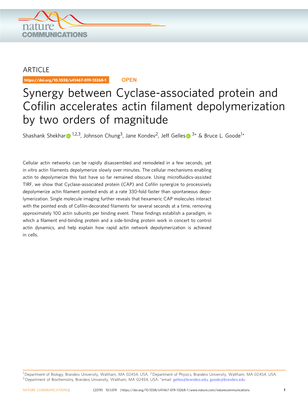 Synergy Between Cyclase-Associated Protein and Cofilin Accelerates Actin Filament Depolymerization by Two Orders of Magnitude