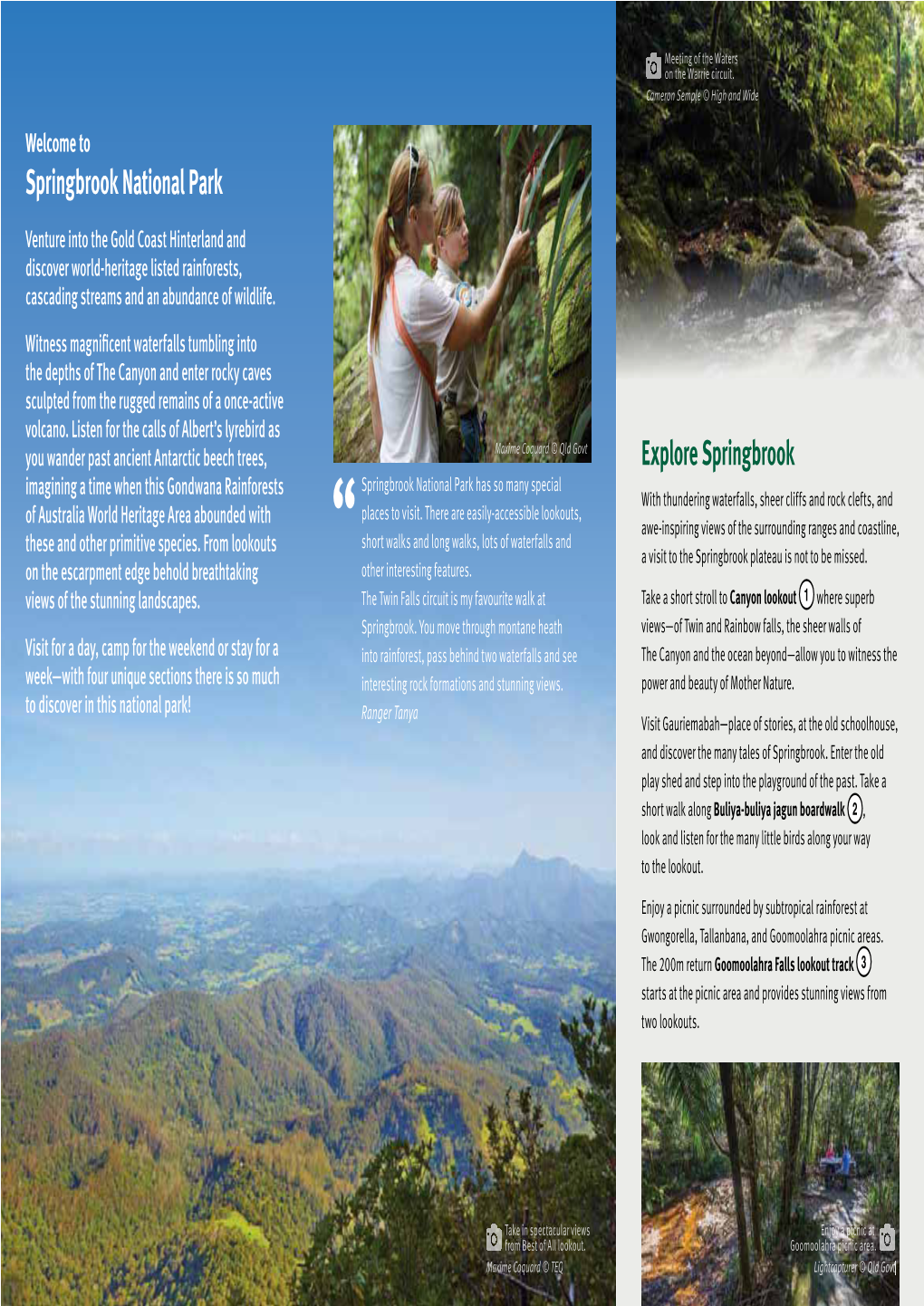 Springbrook National Park Visitor Guide