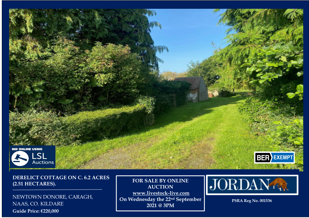 DERELICT COTTAGE on C. 6.2 ACRES (2.51 HECTARES), NEWTOWN DONORE ESB (Connection Supplied but It May Need to Be Re- CARAGH, NAAS, CO