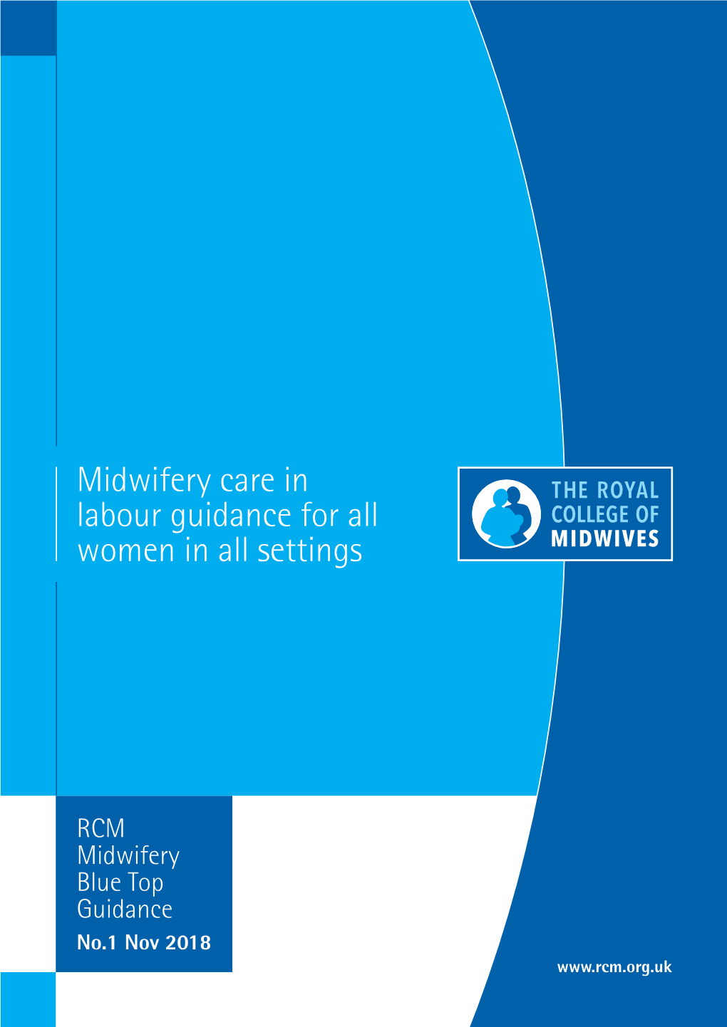 RCM, Midwifery Care in Labour Guidance for All Women in All Settings