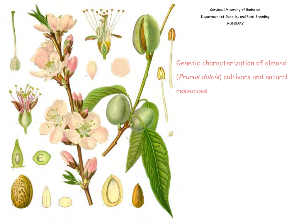 Prunus Dulcis) Cultivars and Natural Resources