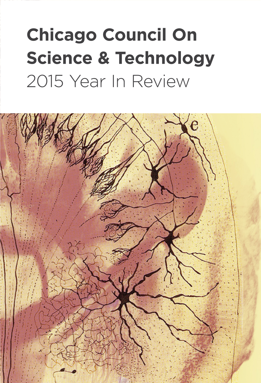 Chicago Council on Science & Technology 2015 Year in Review