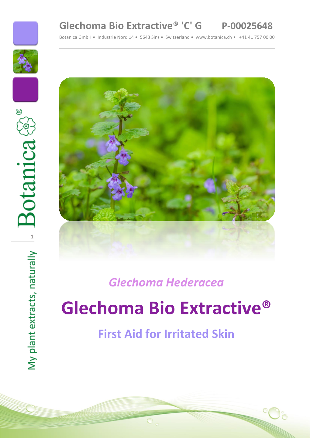 Glechoma Bio Extractive® 'C' G P-00025648 Botanica Gmbh • Industrie Nord 14 • 5643 Sins • Switzerland • • +41 41 757 00 00