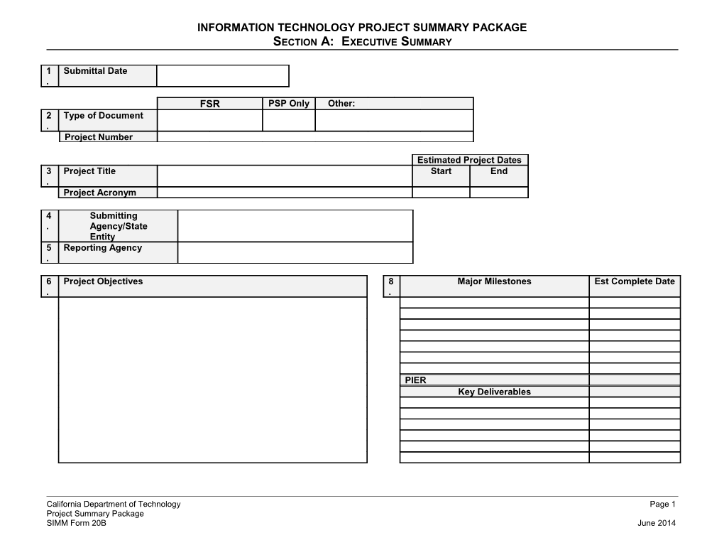 Information Technology Project Summary Package