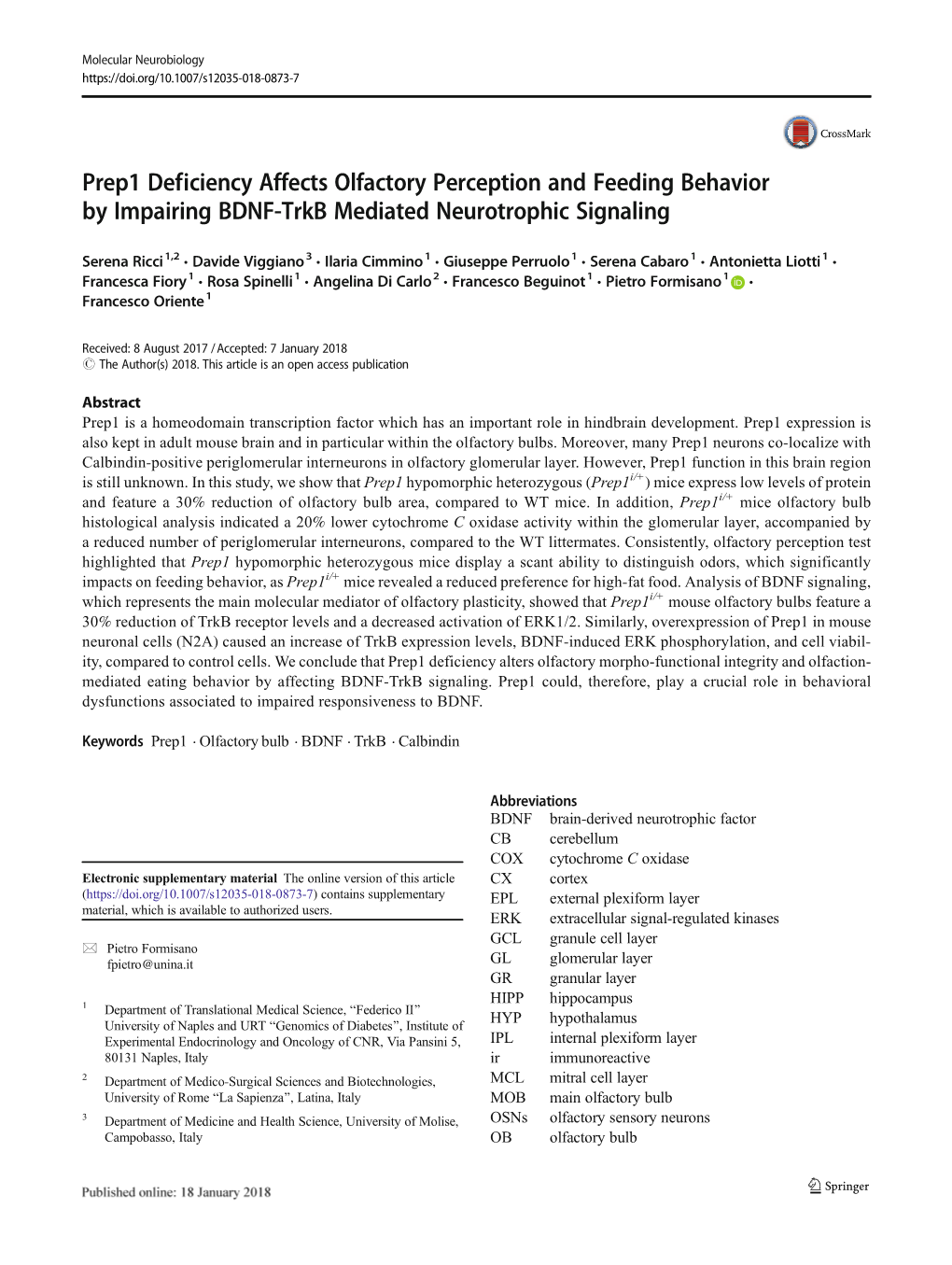 Prep1 Deficiency Affects Olfactory Perception and Feeding Behavior by Impairing BDNF-Trkb Mediated Neurotrophic Signaling