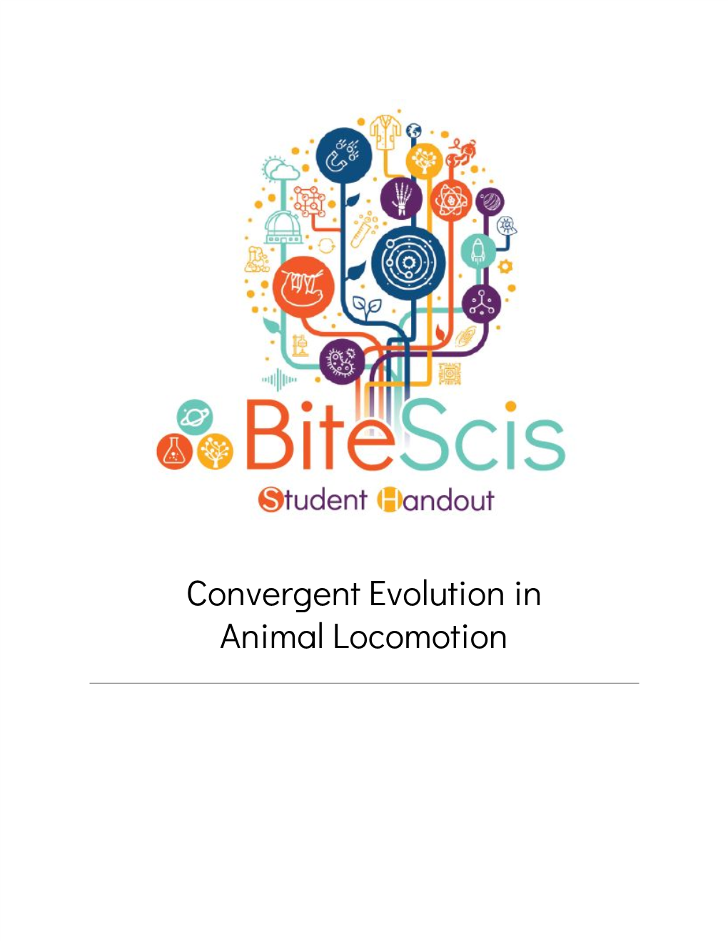 Convergent Evolution in Animal Locomotion