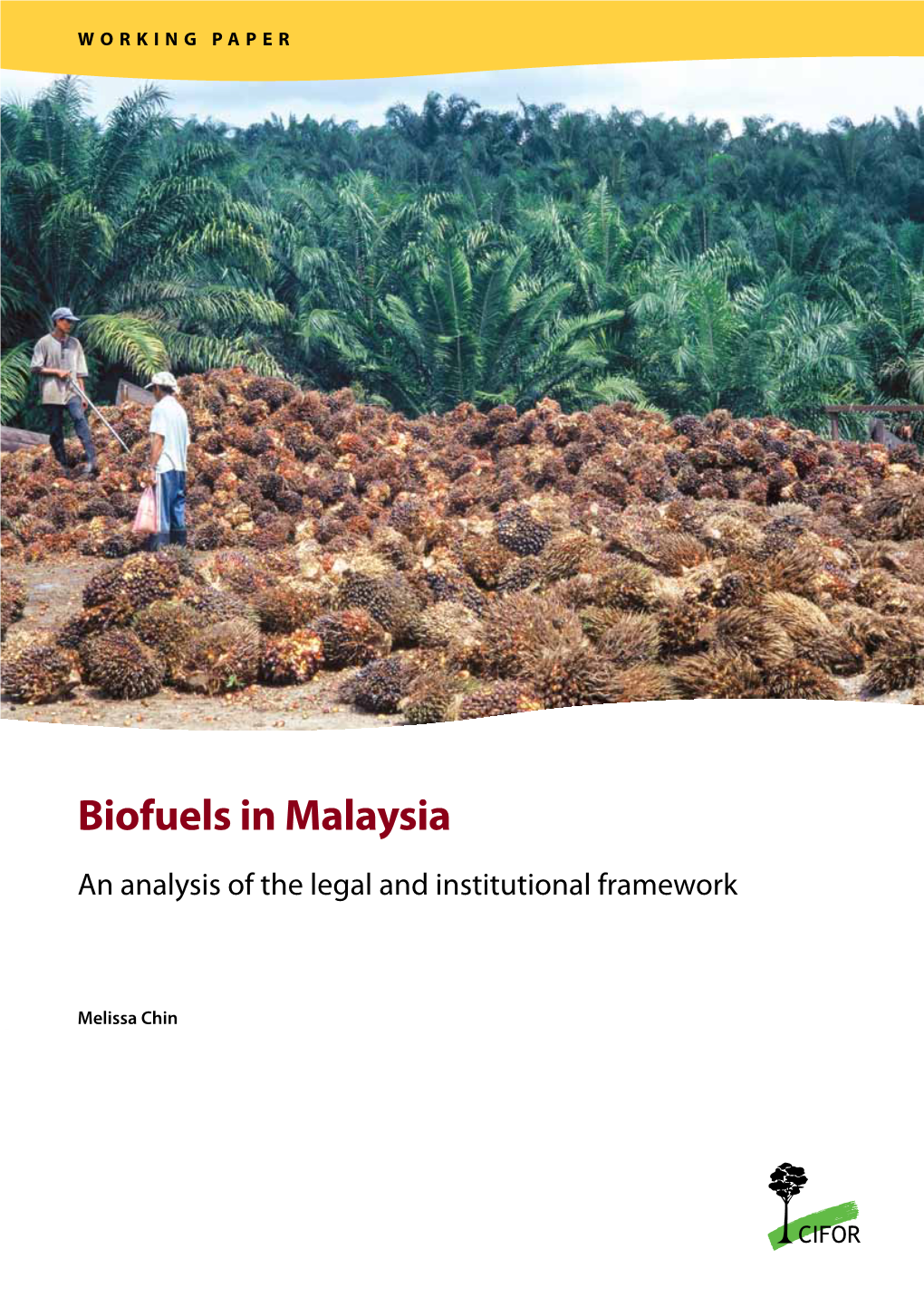 Biofuels in Malaysia an Analysis of the Legal and Institutional Framework