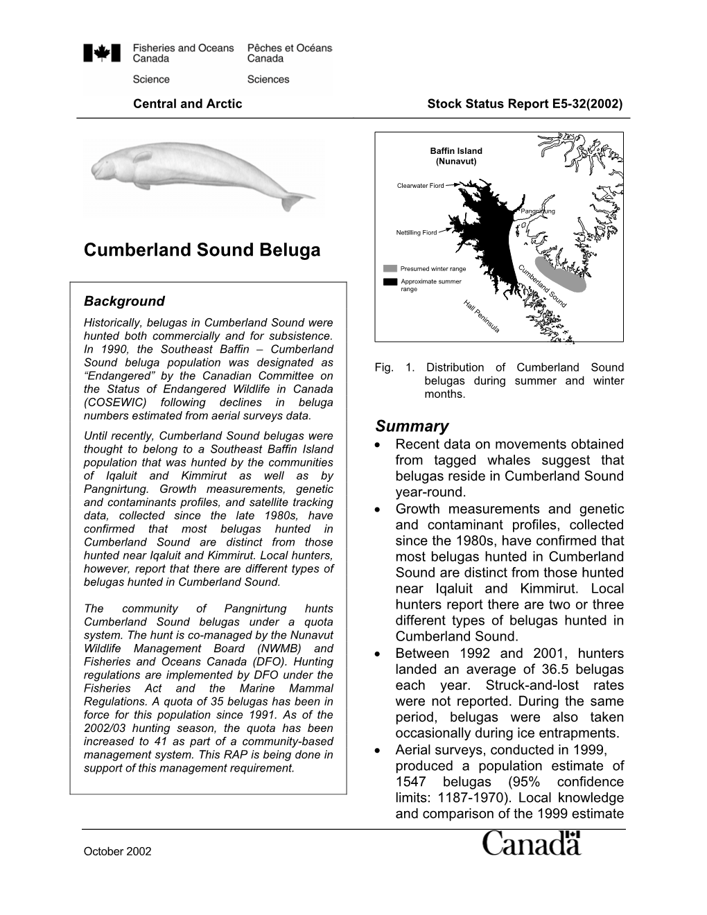 Cumberland Sound Beluga