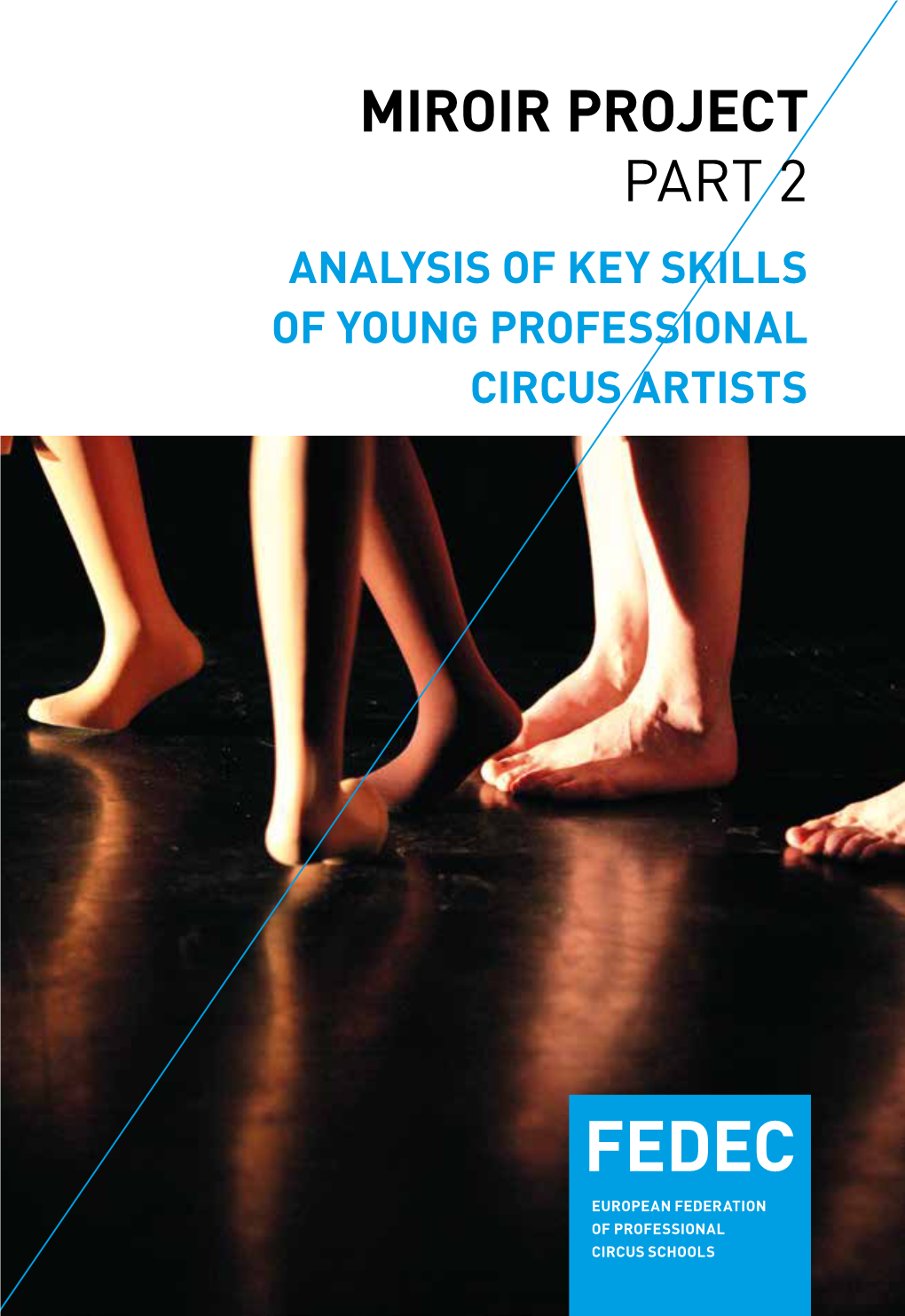 Miroir Project Part 2 Analysis of Key Skills of Young Professional Circus Artists