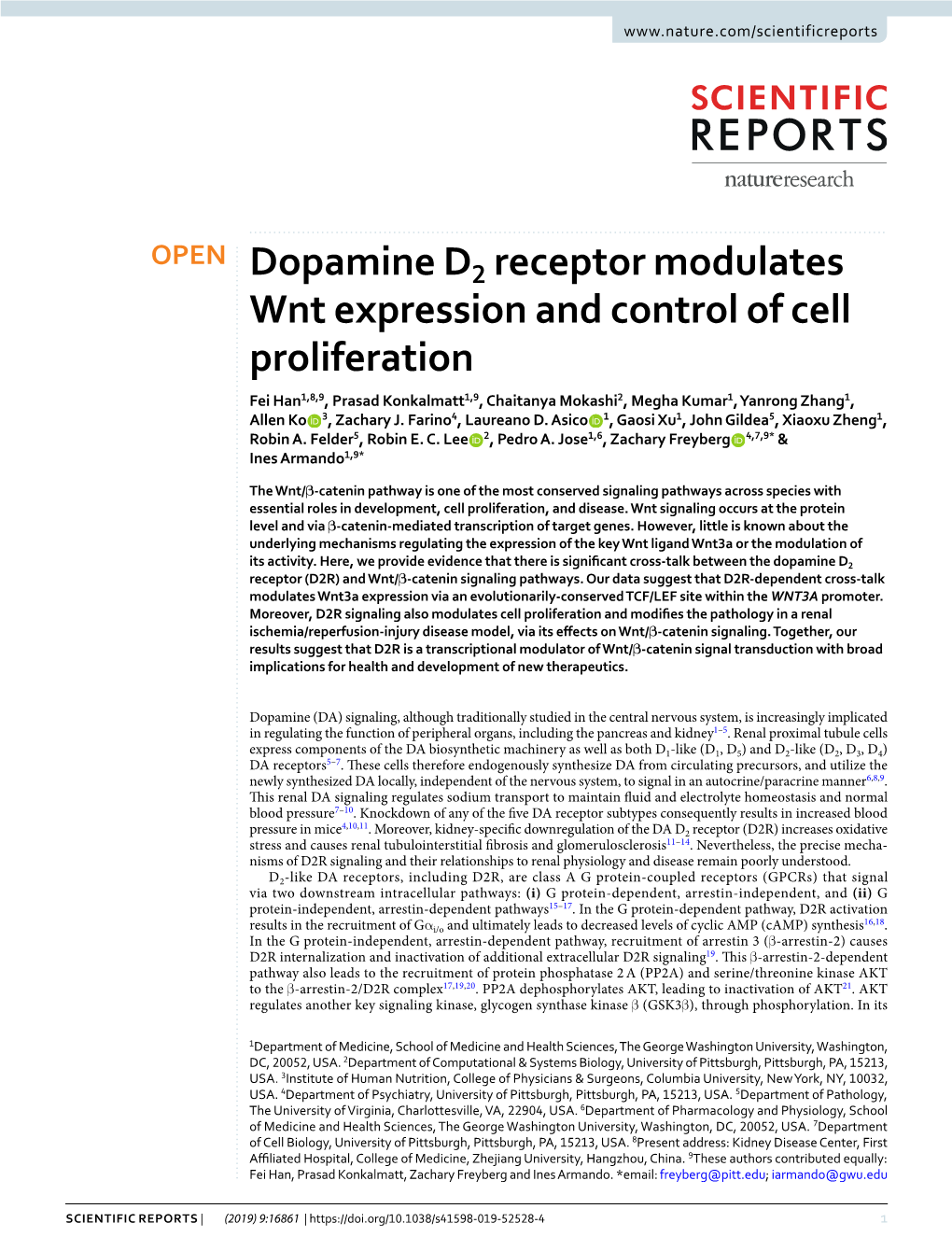 Dopamine D2 Receptor Modulates Wnt Expression and Control of Cell