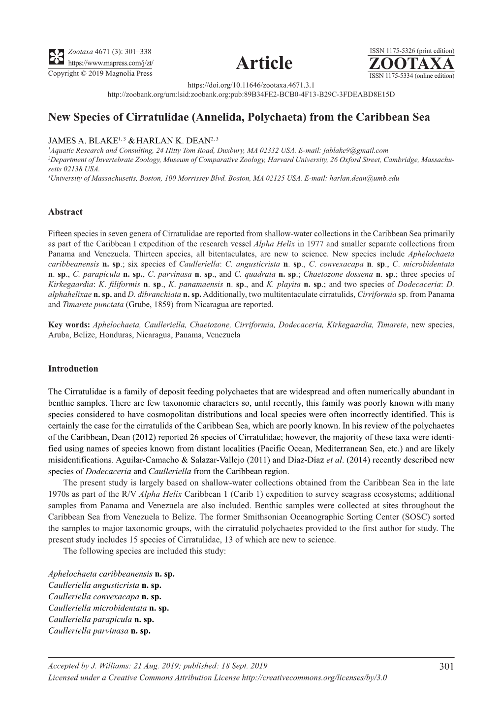 New Species of Cirratulidae (Annelida, Polychaeta) from the Caribbean Sea