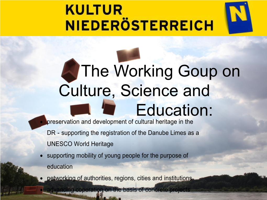 The Working Goup on Culture, Science and Education