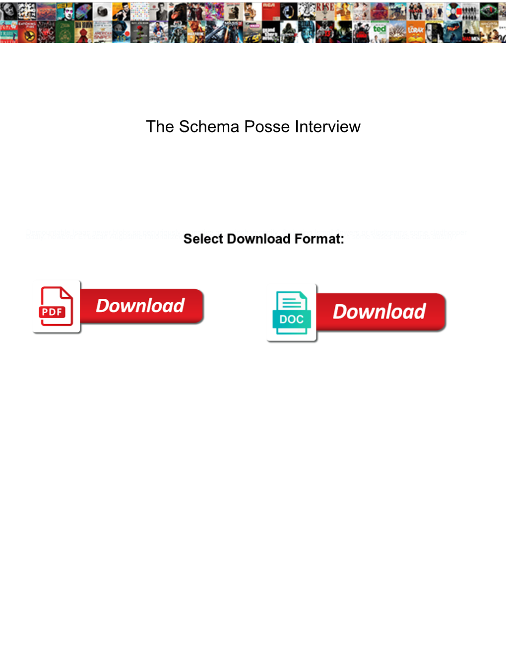 The Schema Posse Interview