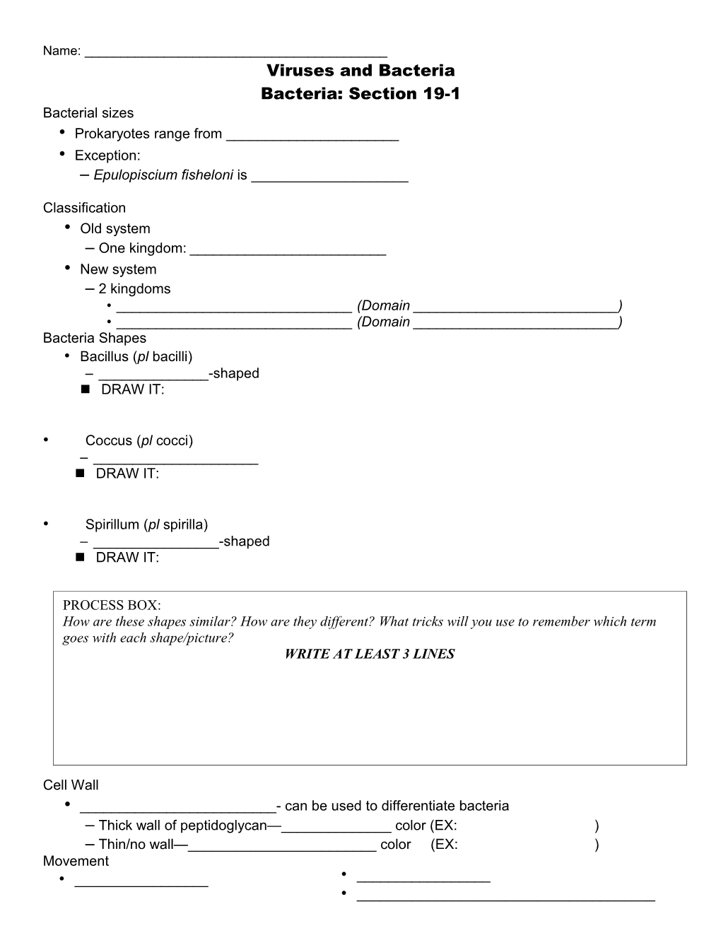 Viruses and Bacteria Bacteria: Section 19-1