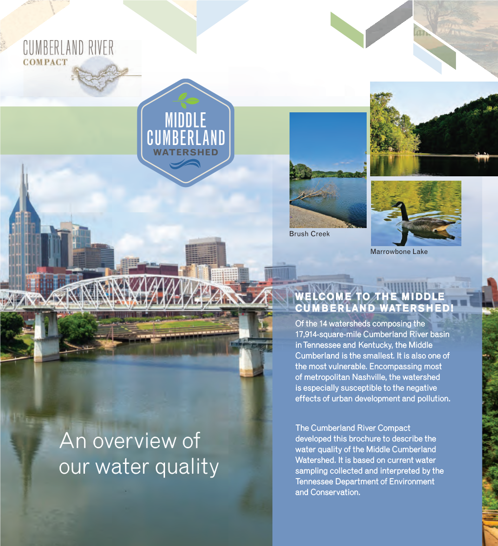 An Overview of Our Water Quality