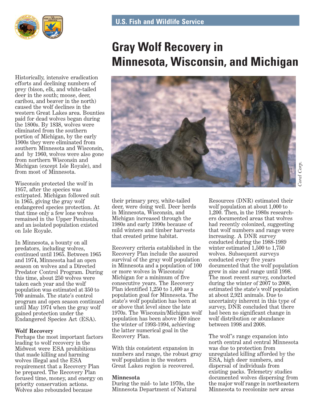 Gray Wolf Recovery in Minnesota, Wisconsin, and Michigan