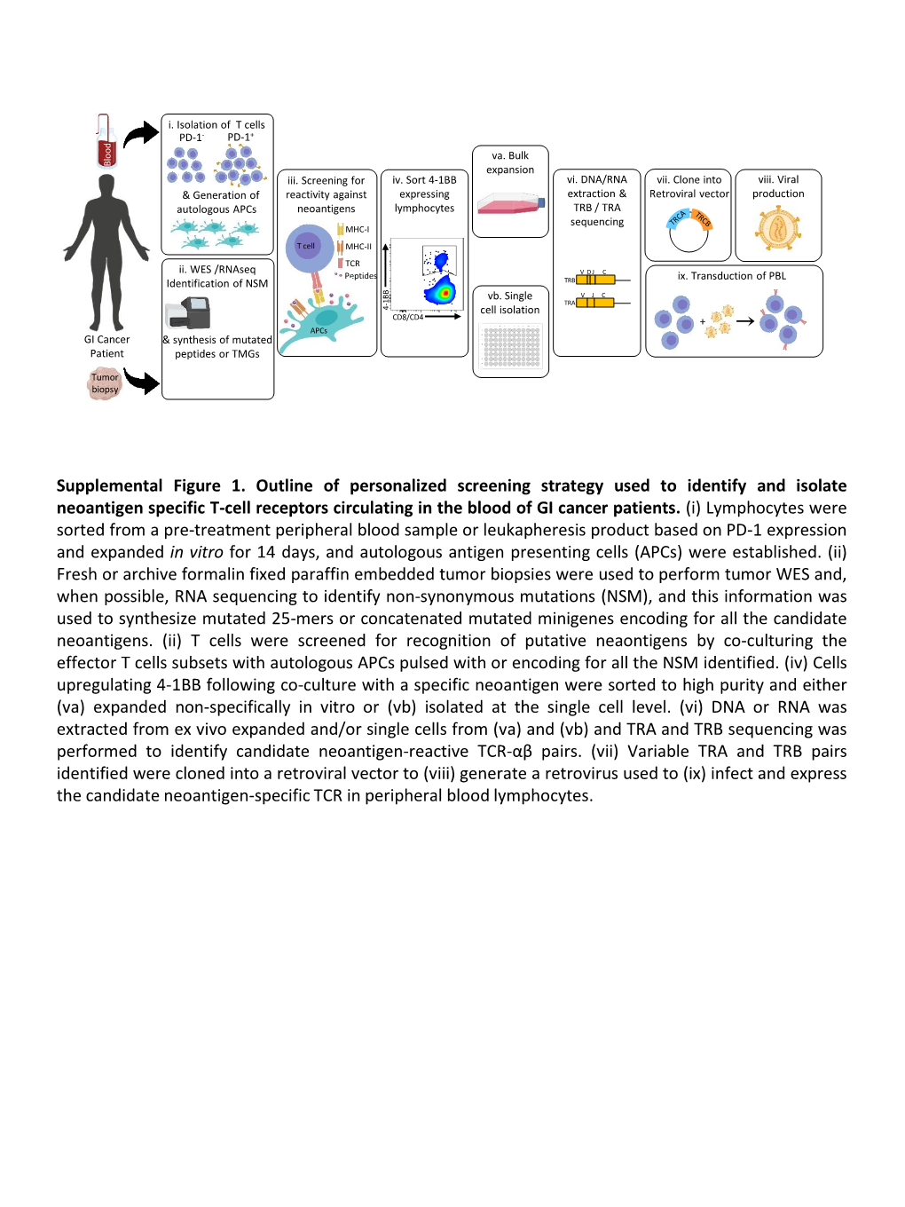 Supplemental Figure 1. Outline of Personalized Screening Strategy