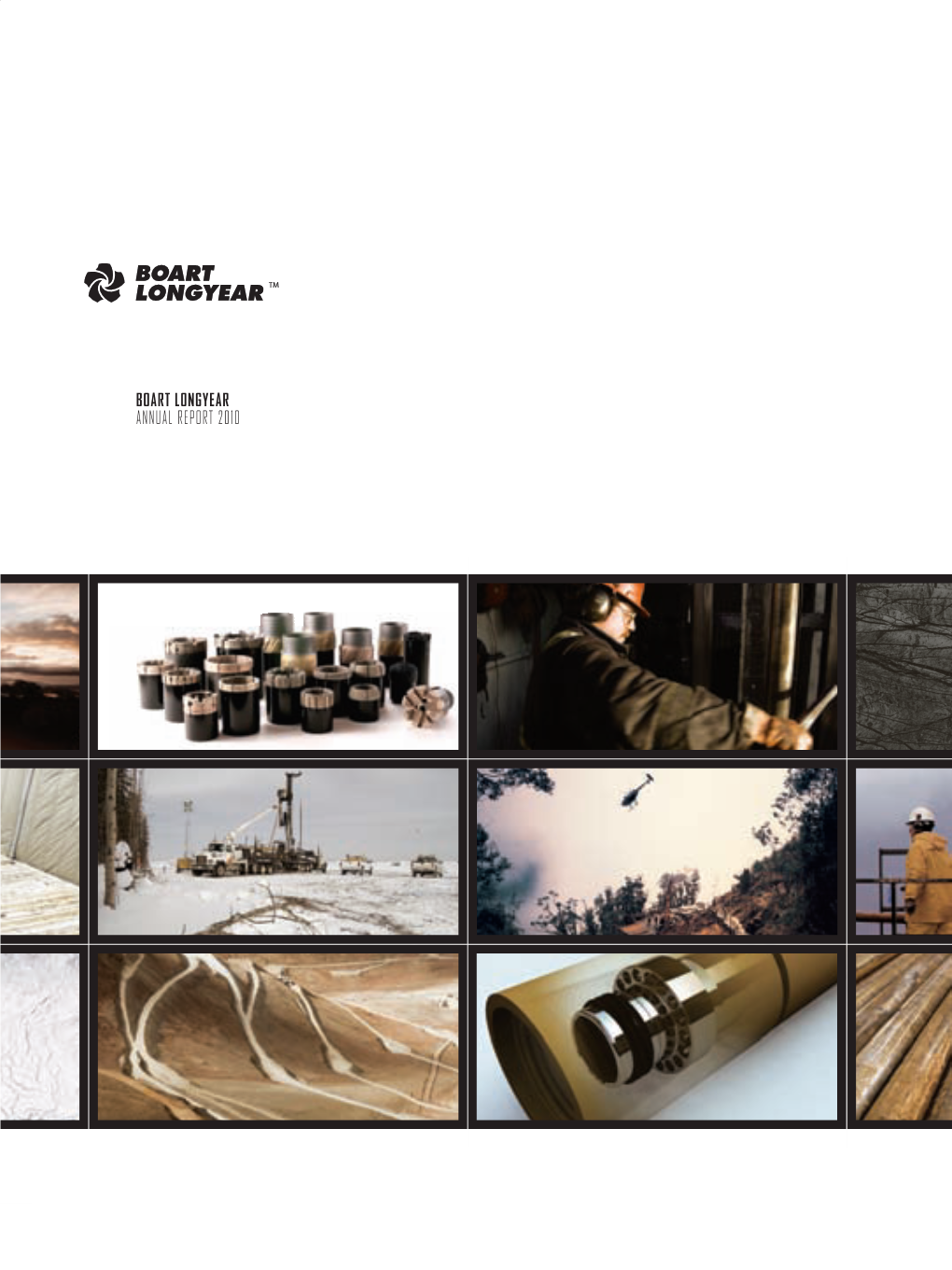 2010 Annual Report