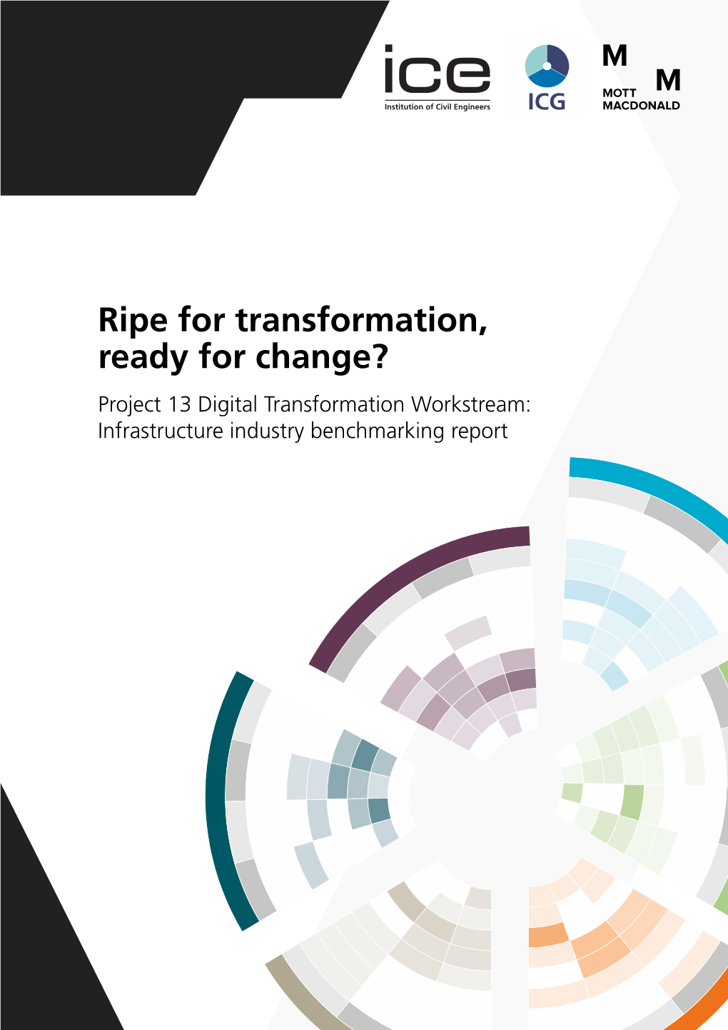 Ripe for Transformation, Ready for Change?