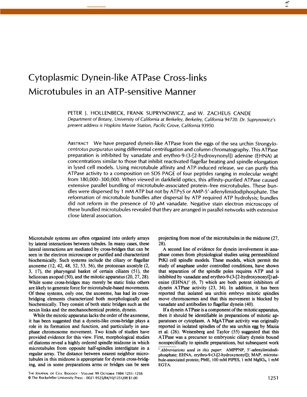 Cytoplasmic Dynein-Like Atpase Cross-Links Microtubules in an ATP-Sensitive Manner