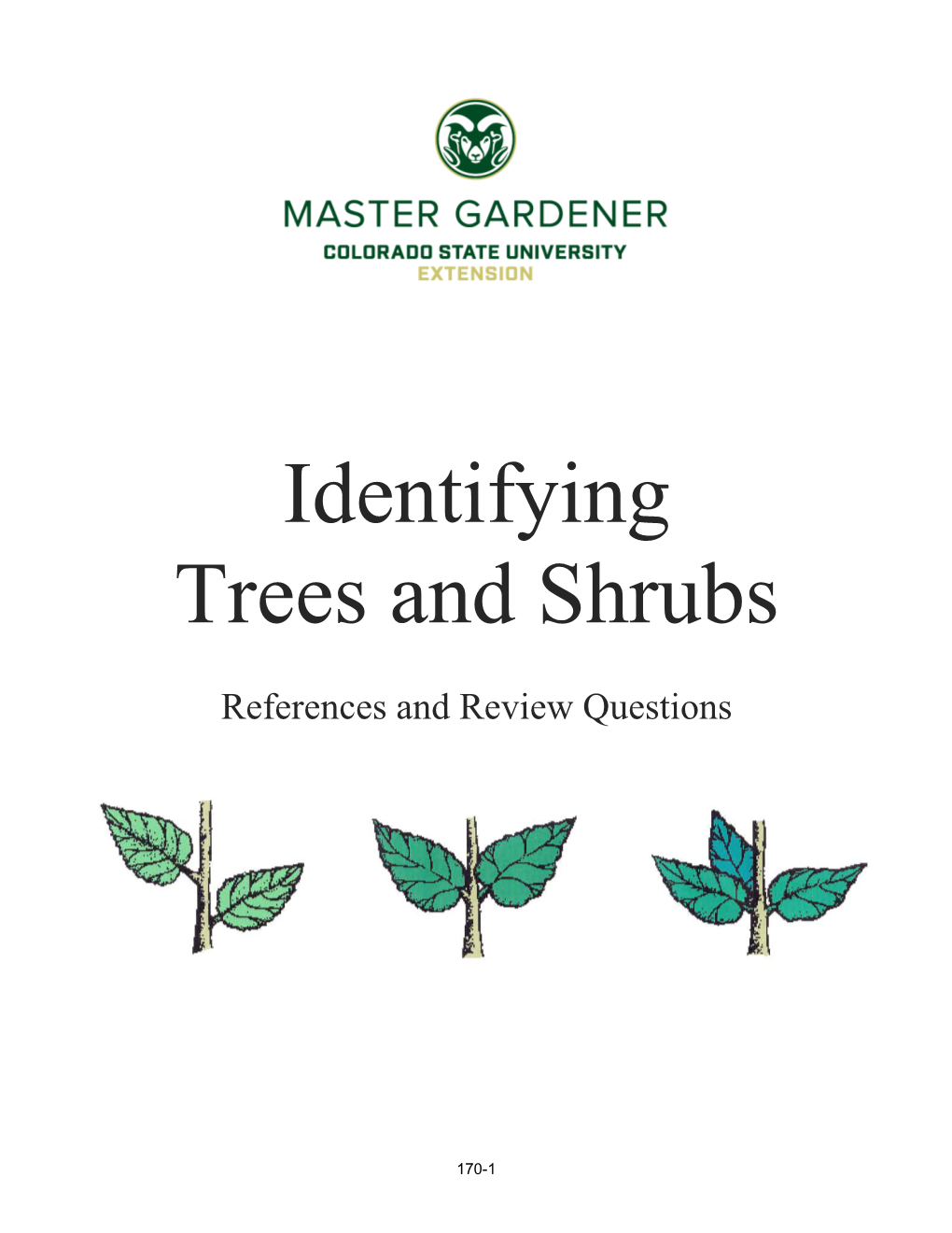 Identifying Trees and Shrubs