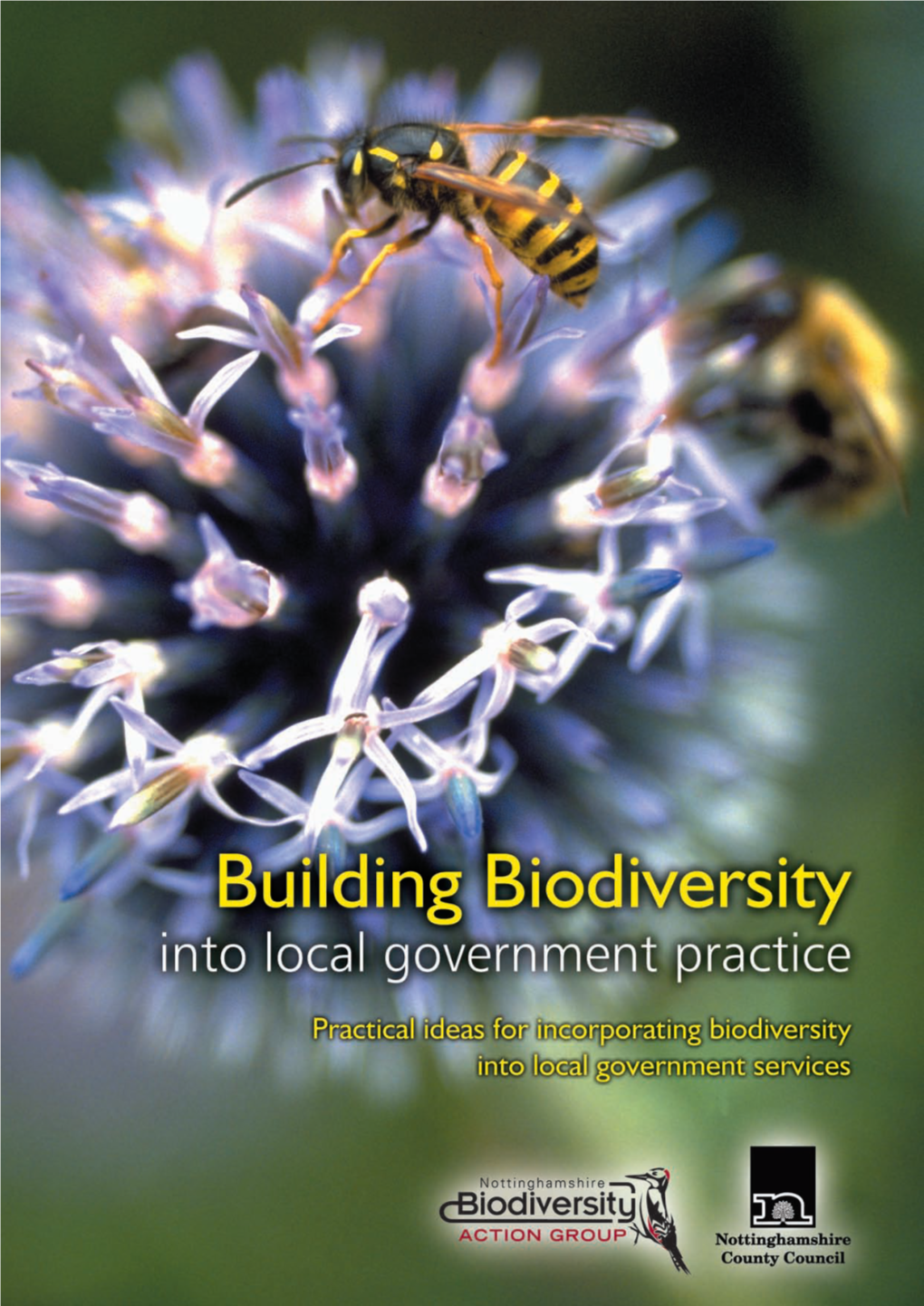 Building Biodiversity