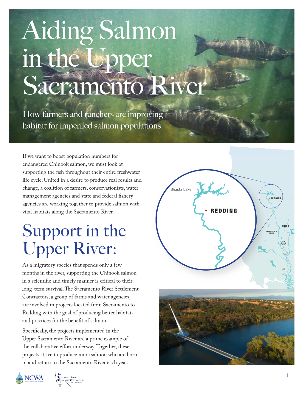 Aiding Salmon in the Upper Sacramento River How Farmers and Ranchers Are Improving Habitat for Imperiled Salmon Populations