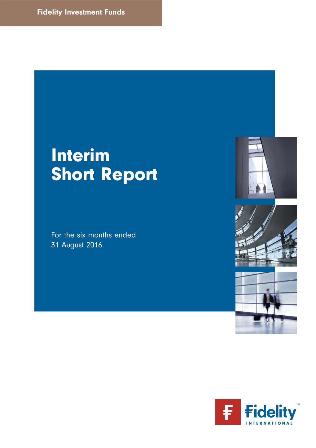 Interim Short Report